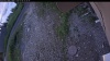 Web Cam Image - Wed, 07/08/2026 4:29am PDT
