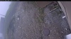Web Cam Image - Wed, 05/13/2026 4:59pm PDT