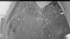 Web Cam Image - Sat, 06/27/2026 2:49am PDT