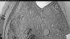 Web Cam Image - Sat, 06/14/2025 2:39pm PDT