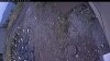 Web Cam Image - Sun, 10/12/2025 3:44pm PDT