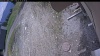 Web Cam Image - Sun, 05/17/2026 11:34am PDT