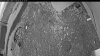 Web Cam Image - Sat, 06/06/2026 8:24pm PDT