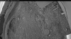 Web Cam Image - Mon, 06/15/2026 3:24am PDT