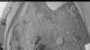 Web Cam Image - Sat, 06/14/2025 2:34pm PDT