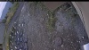 Web Cam Image - Sun, 10/12/2025 3:39pm PDT