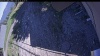 Web Cam Image - Sun, 05/31/2026 4:39pm PDT