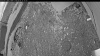 Web Cam Image - Sat, 06/06/2026 8:19pm PDT