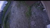 Web Cam Image - Wed, 07/08/2026 4:19am PDT