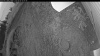 Web Cam Image - Wed, 09/03/2025 7:54pm PDT