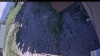 Web Cam Image - Wed, 06/24/2026 2:34pm PDT