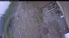 Web Cam Image - Wed, 05/13/2026 1:44pm PDT