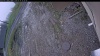 Web Cam Image - Thu, 05/14/2026 3:39pm PDT