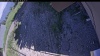 Web Cam Image - Wed, 06/24/2026 2:29pm PDT