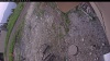Web Cam Image - Sat, 06/14/2025 2:14pm PDT