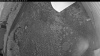 Web Cam Image - Sat, 06/27/2026 8:09pm PDT