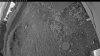 Web Cam Image - Wed, 07/08/2026 3:59am PDT