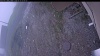 Web Cam Image - Fri, 05/15/2026 6:19am PDT