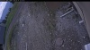 Web Cam Image - Sun, 05/17/2026 11:04am PDT