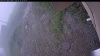 Web Cam Image - Fri, 06/26/2026 4:24pm PDT