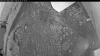 Web Cam Image - Sat, 06/27/2026 8:04pm PDT