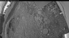 Web Cam Image - Wed, 07/08/2026 3:54am PDT