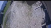 Web Cam Image - Fri, 05/22/2026 11:44am PDT