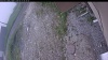 Web Cam Image - Wed, 06/17/2026 6:59am PDT