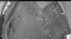Web Cam Image - Wed, 07/08/2026 3:39am PDT