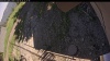 Web Cam Image - Mon, 06/30/2025 12:29pm PDT