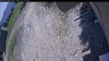 Web Cam Image - Fri, 05/22/2026 12:14pm PDT