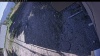 Web Cam Image - Mon, 05/11/2026 4:14pm PDT