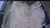 Web Cam Image - Fri, 05/22/2026 11:39am PDT