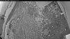 Web Cam Image - Sat, 06/27/2026 7:44pm PDT