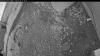 Web Cam Image - Sun, 06/28/2026 8:14pm PDT