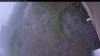 Web Cam Image - Fri, 06/26/2026 3:54pm PDT