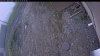 Web Cam Image - Wed, 05/13/2026 5:19am PDT
