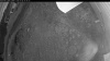 Web Cam Image - Wed, 07/08/2026 3:19am PDT
