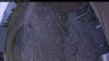 Web Cam Image - Sun, 05/10/2026 3:39pm PDT