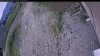 Web Cam Image - Thu, 06/25/2026 3:14pm PDT