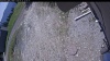 Web Cam Image - Fri, 05/22/2026 11:14am PDT