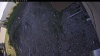 Web Cam Image - Fri, 05/22/2026 6:24pm PDT