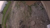 Web Cam Image - Sat, 06/14/2025 1:19pm PDT