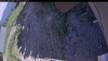 Web Cam Image - Tue, 06/23/2026 1:44pm PDT