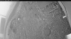 Web Cam Image - Fri, 05/15/2026 5:14am PDT