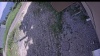 Web Cam Image - Wed, 06/24/2026 1:14pm PDT