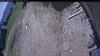 Web Cam Image - Wed, 05/27/2026 11:29am PDT