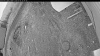 Web Cam Image - Mon, 05/04/2026 7:49pm PDT