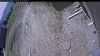 Web Cam Image - Thu, 05/21/2026 10:49am PDT