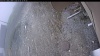 Web Cam Image - Wed, 05/06/2026 1:59pm PDT